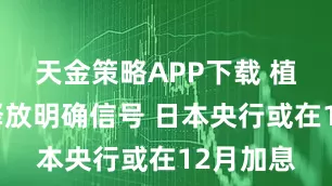 天金策略APP下载 植田和男释放明确信号 日本央行或在12月加息